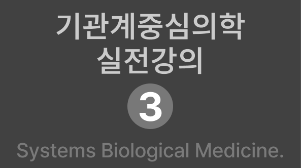 실전3회차
