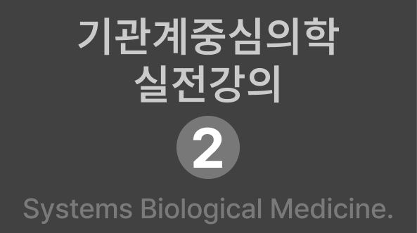 실전2회차