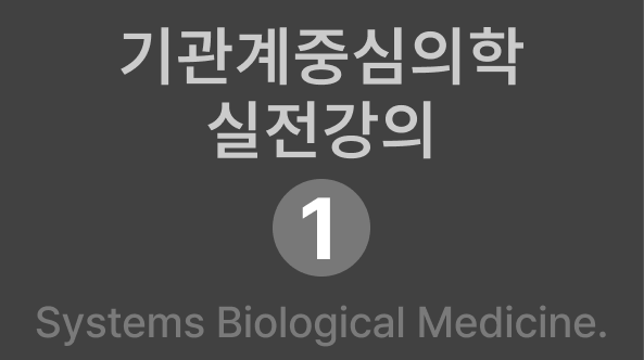 실전1회차